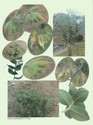 image test2