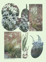 image test5