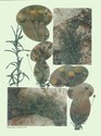 image test4