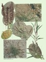 image test1