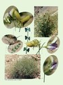 image test5