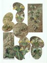 image test5