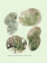image test4