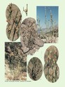 image test4