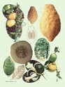 image test1