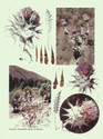 image test5