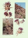 image test3
