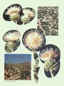 image test3