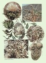 image test3