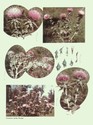 image test5