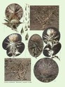 image test2