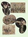 image test3
