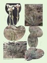 image test5