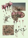 image test4