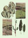 image test2