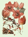 image test5