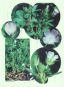 image test2