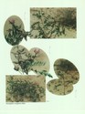 image test3