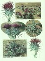 image test5