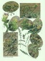 image test3