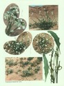 image test4