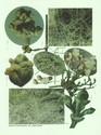 image test1