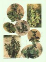 image test5