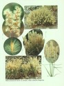 image test1