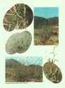 image test1