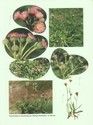 image test2