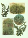 image test2