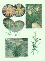 image test4