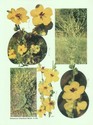 image test5