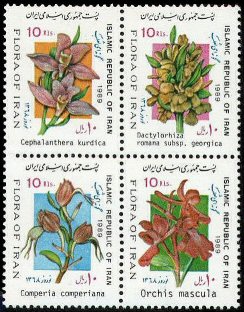 Different flowers