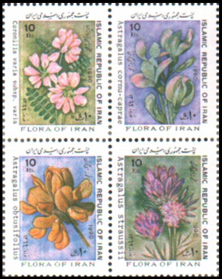 Different flowers