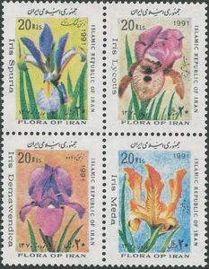 Different flowers