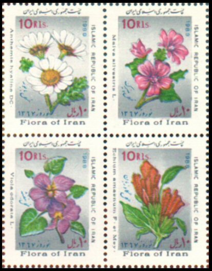 Several flowers